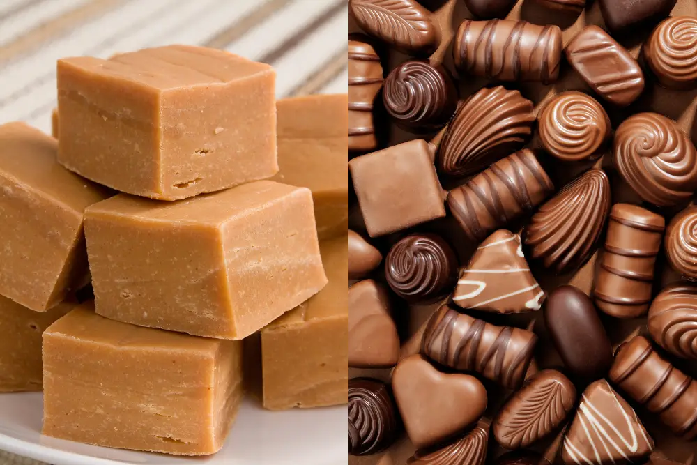 What’s The Difference Between Fudge And Chocolate