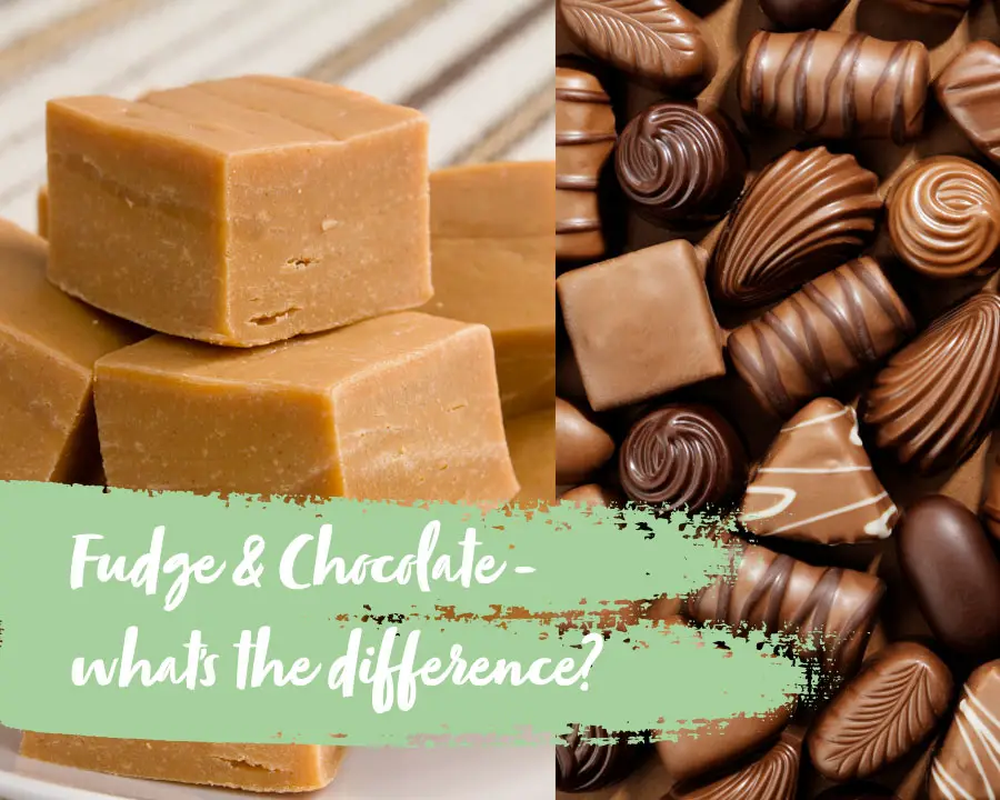 what is the difference between fudge and chocolate