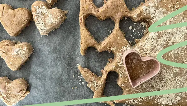 cut out the tuna fudge for dogs 