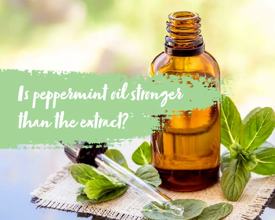 Is peppermint oil stronger than peppermint extract?