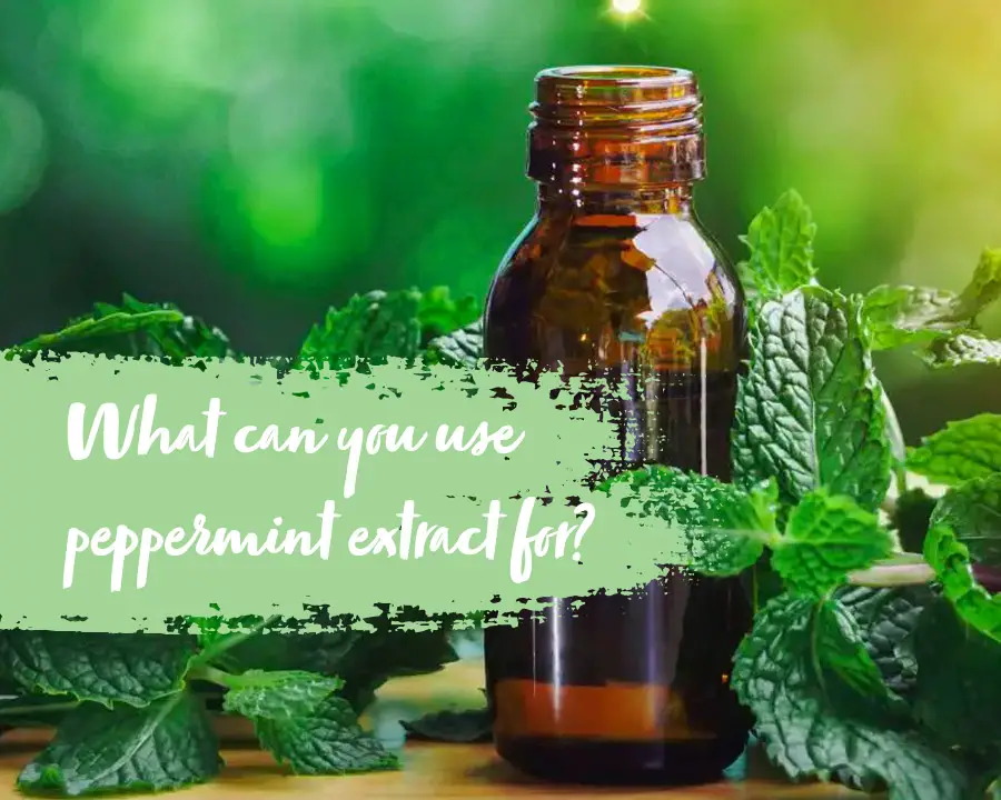 what can you use peppermint extract for in baking?